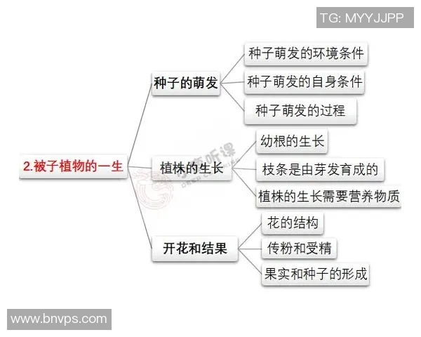 中国体育运动的多样性与发展现状探讨及其对国民健康的影响分析