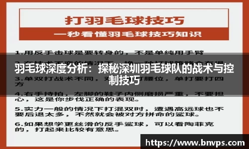 羽毛球深度分析：探秘深圳羽毛球队的战术与控制技巧