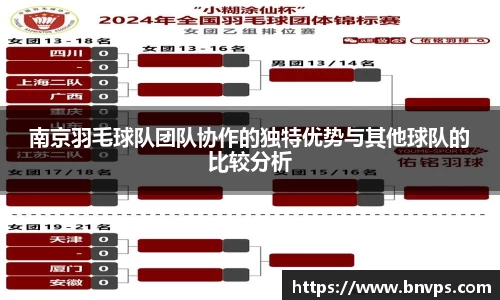 南京羽毛球队团队协作的独特优势与其他球队的比较分析